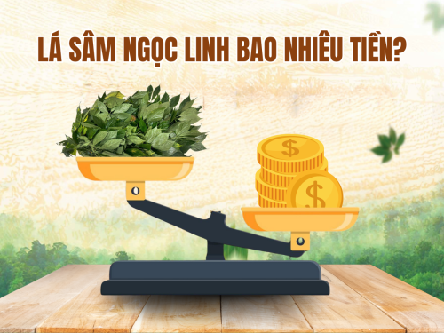 Lá sâm Ngọc Linh bao nhiêu tiền? Thật sự có đáng với mức giá đó?
